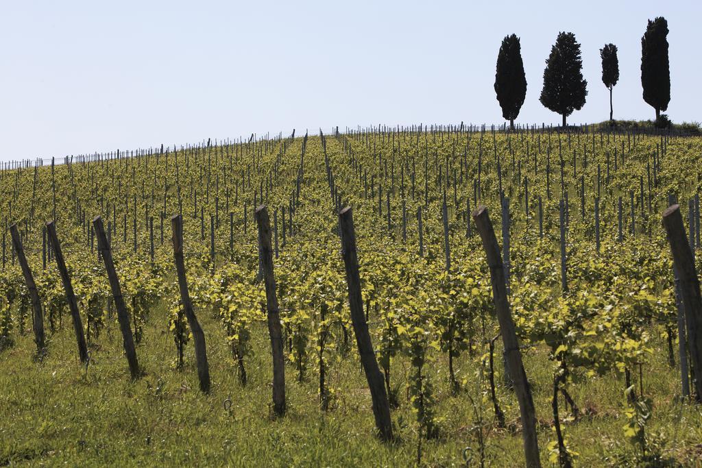 Le Buche Wine Resort&Spa Macciano Buitenkant foto