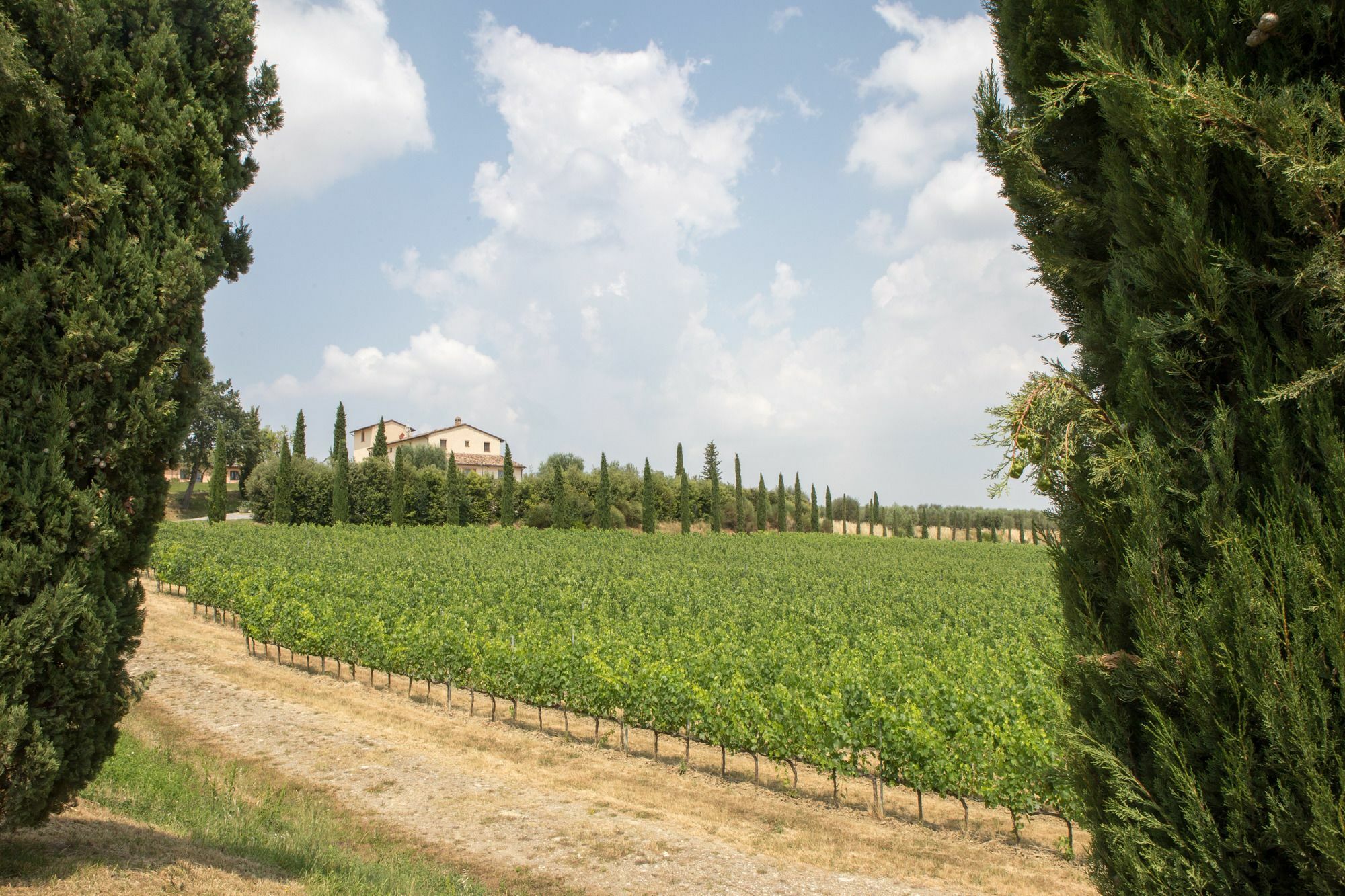 Le Buche Wine Resort&Spa Macciano Buitenkant foto